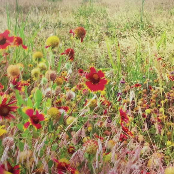 Meet your Posher, William - Picture 1 of 1